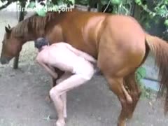 A skinny, ravenous stud is having sex with his friend's horse.